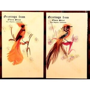 Vintage Souvenir Note Cards "Greetings From Olivera Street Los Angeles"
